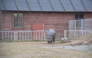 Ksiądz proboszcz z dziećmi ze wsp&oacute;lnot parafialnych na Przylądku Rozewie: 15-18.06.2015r.