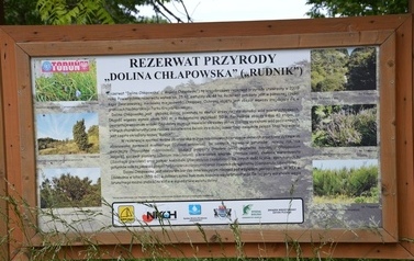 Ksiądz proboszcz z dziećmi ze wsp&oacute;lnot parafialnych na Przylądku Rozewie: 15-18.06.2015r.