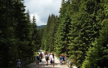 Wyjazd z dziećmi i młodzieżą ze wsp&oacute;lnot parafialnych w Tatry i do Zakopanego 2016